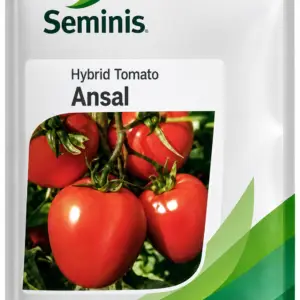 Ansal F1 1000 Seeds