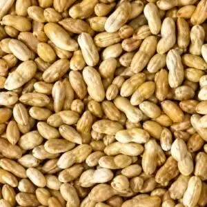 Groundnut - SERENUT 14R (1kg)