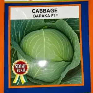 Baraka F1 Cabbage Seeds 10g