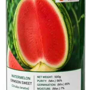 Watermelon Tiger 500g